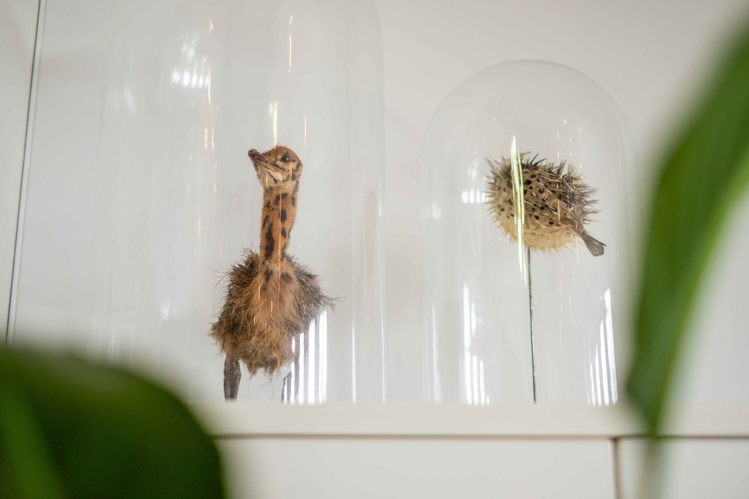 Interieur fotograaf in Haaksbergen