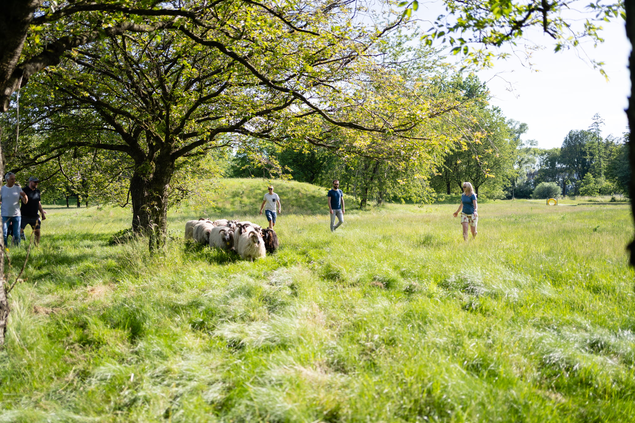 Fotograaf bedrijfsevenement